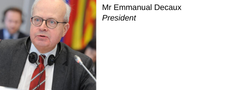 Emmanuel Decaux, Président