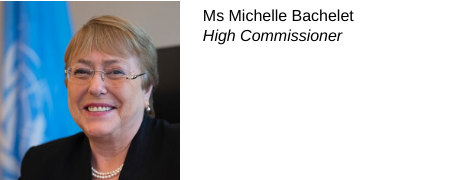 Michelle Bachelet, Haut-Commissaire