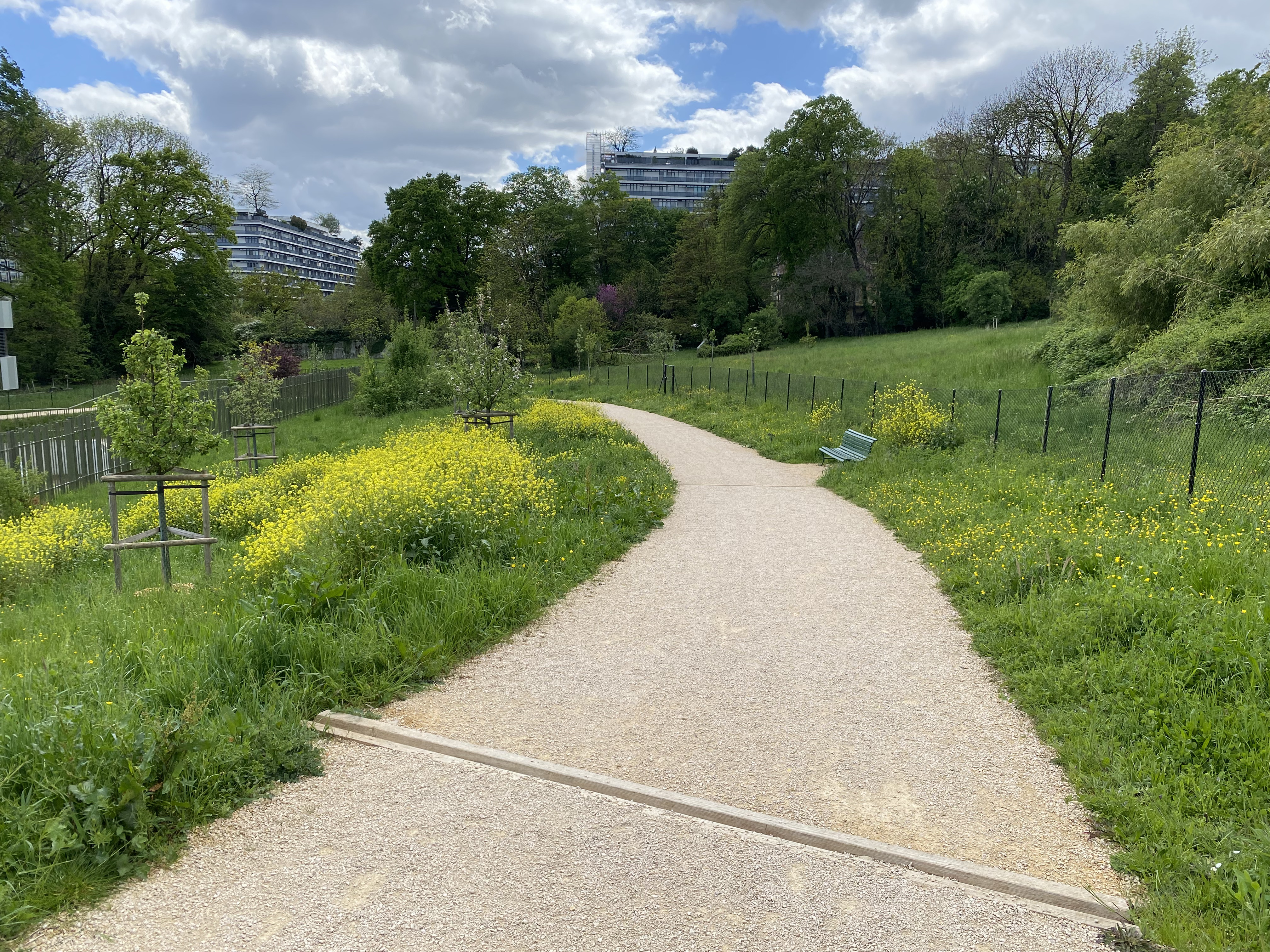 Promenade de la Paix - Cours des Nobel