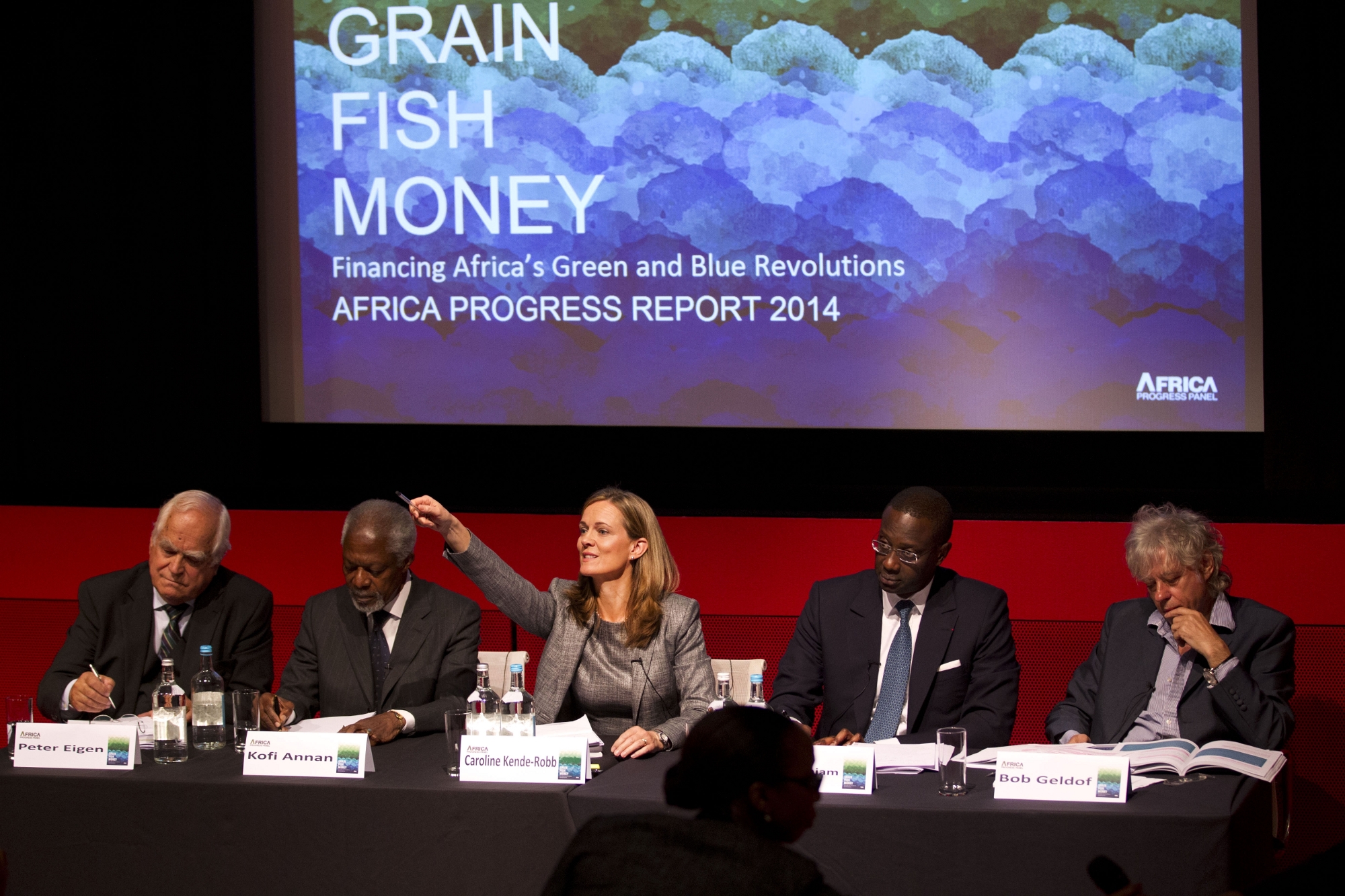 1405africaprogressreport39_adjusted.jpg