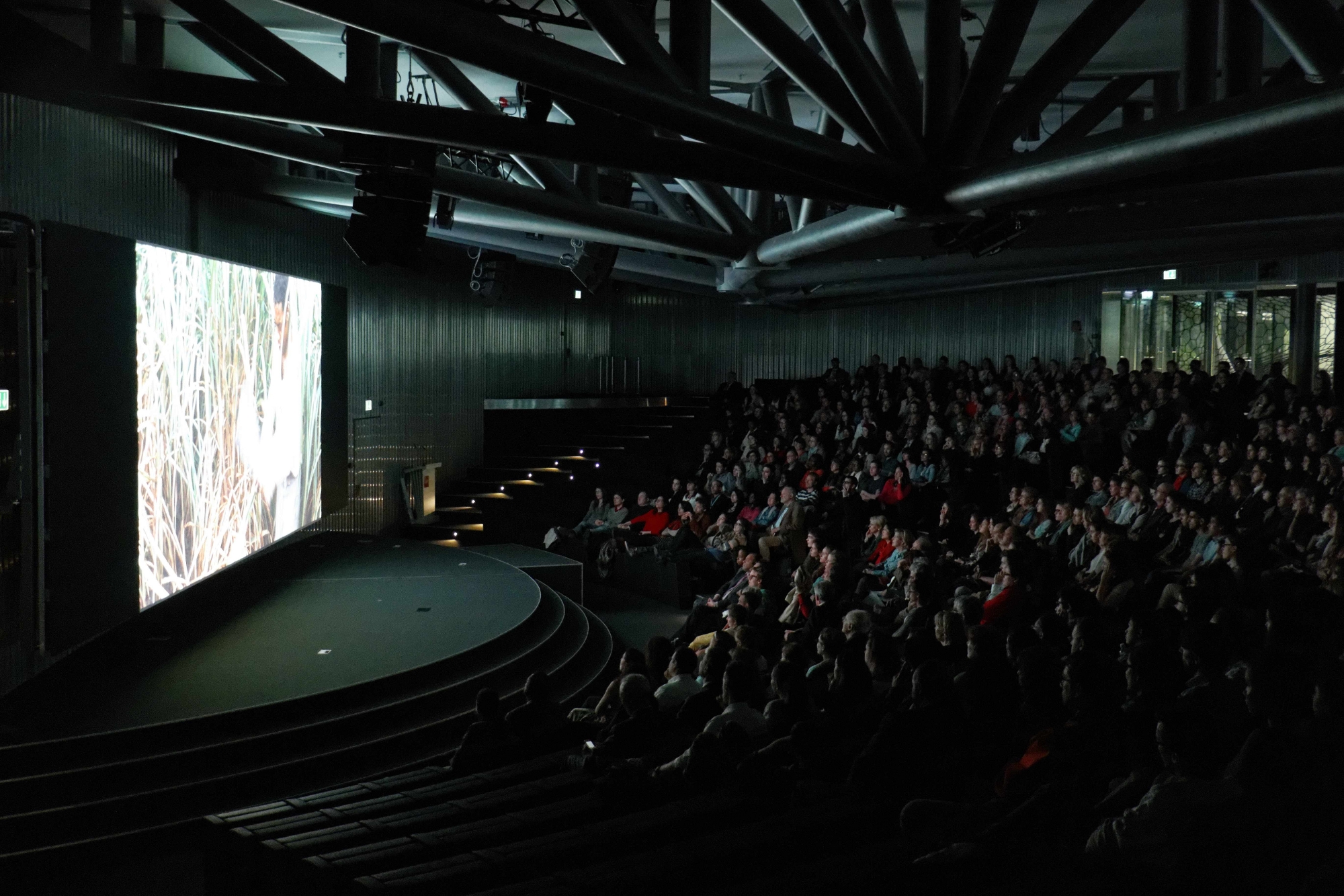 iheid_cine_onu_adjusted.jpg