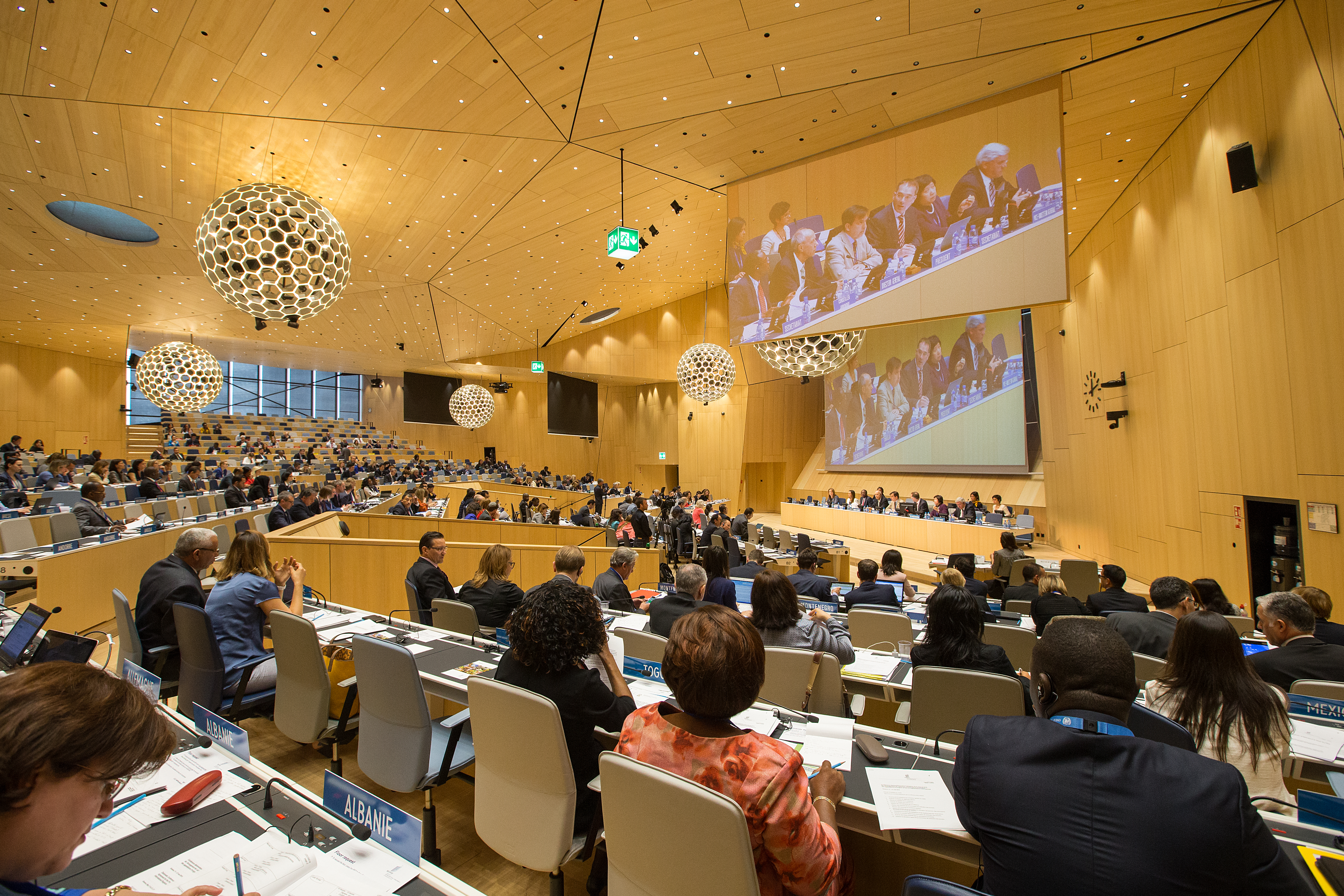 wipo0348.jpg