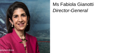 Fabiola Gianotti, Directrice générale
