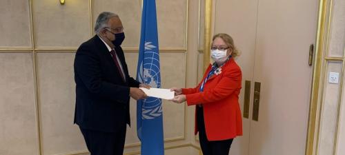 New Permanent Representative of Egypt