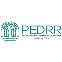 PEDRR