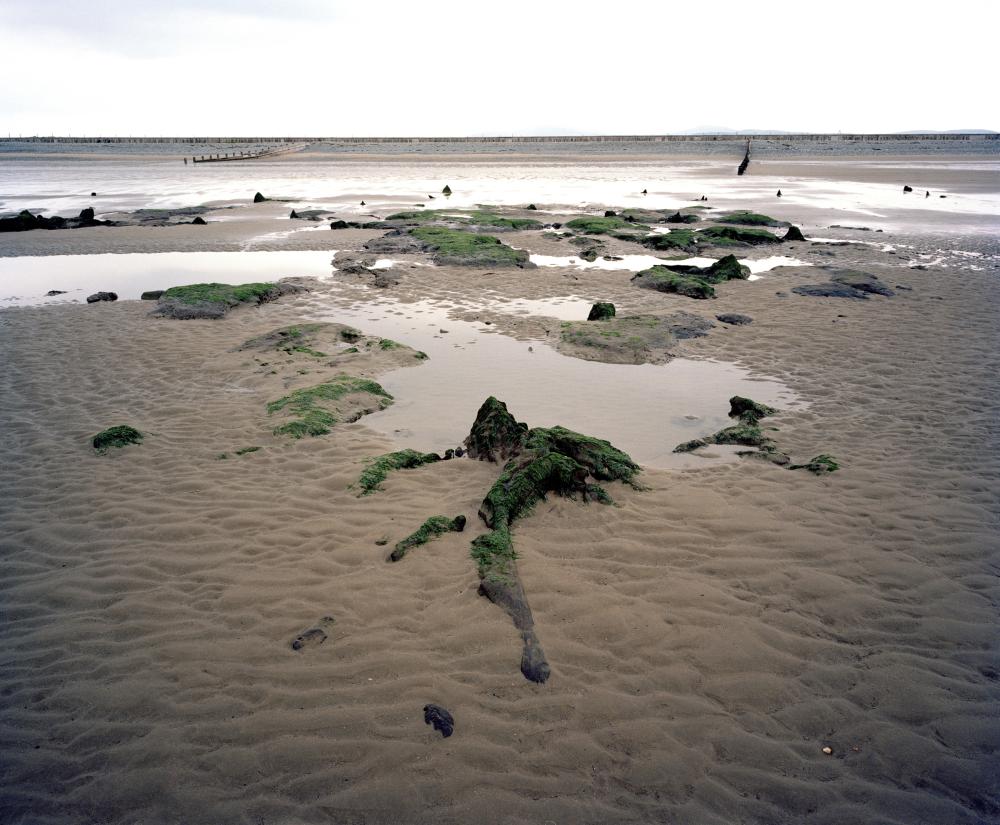 Here, the remains of an ancient forest, possibly dead around 3500 BC, on the beach at Ynyslas, in Wales, Great Britain, pictured by David Hurn in 2008. 