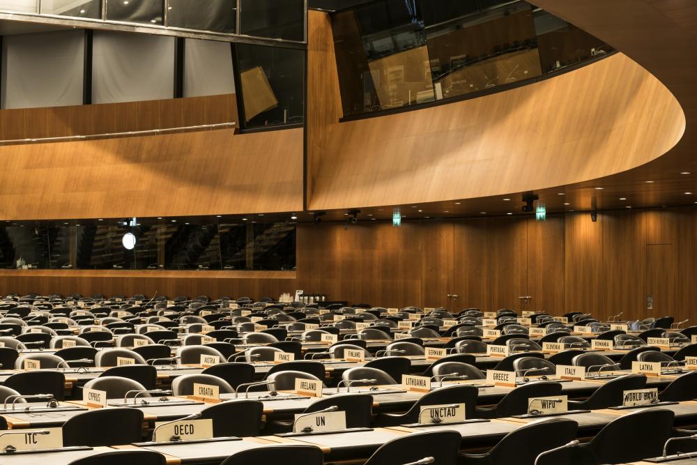 The image above was taken at WTO headquarters by photographer Luca Fascini in the framework of the book Internation Geneva, 100 years of Architecture by Joëlle Kuntz, Slatkine publishing