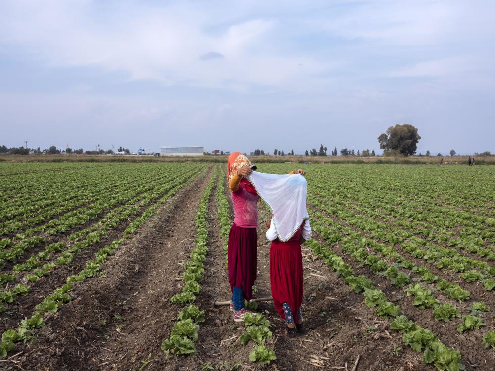 Magnum photographer Emin Ozmen pictured Erich, 11 (left), and Kevser,9, both Syrian girls, in 2018, while working in a lettuce field