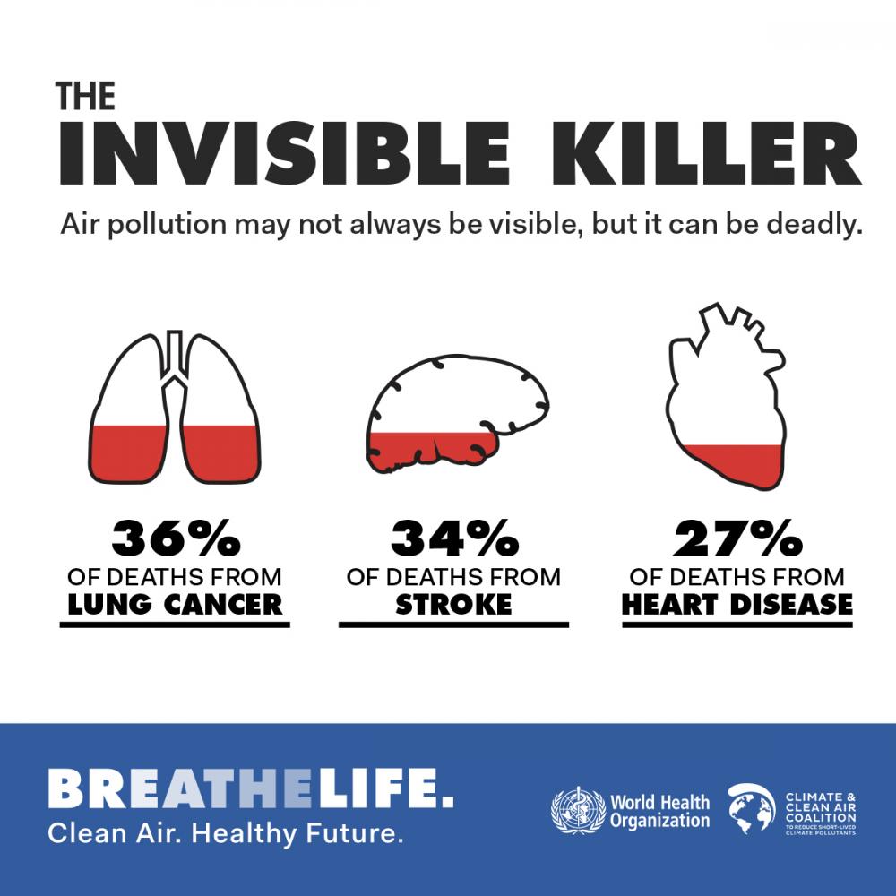 infograph-breathelife-infographic1-hr.jpg