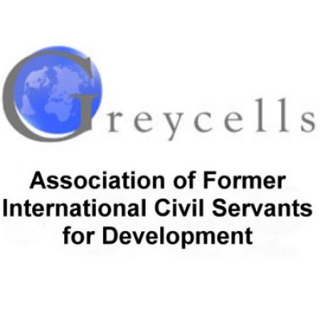 Greycells logo