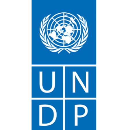 UNDP logo