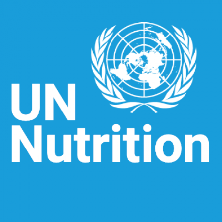 UN-Nutrition logo