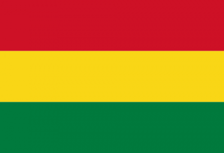 500px-flag_of_bolivia.svg_.png