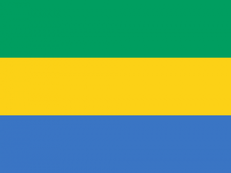 500px-flag_of_gabon.svg_.png