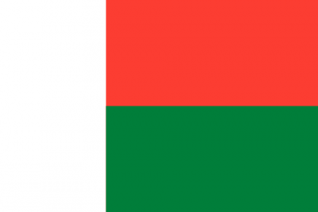 500px-flag_of_madagascar.svg_.png