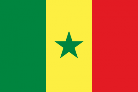 500px-flag_of_senegal.svg_.png