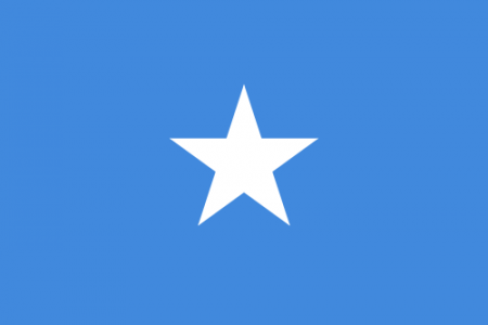 500px-flag_of_somalia.svg_.png