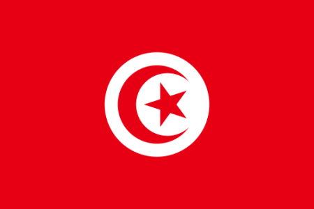 500px-flag_of_tunisia.svg_.png