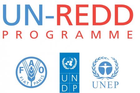 un-redd_eng.jpg un-redd_eng.jpg