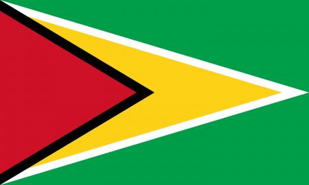 drapeau-guyana.jpg