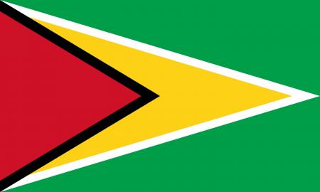 drapeau-guyana.jpg